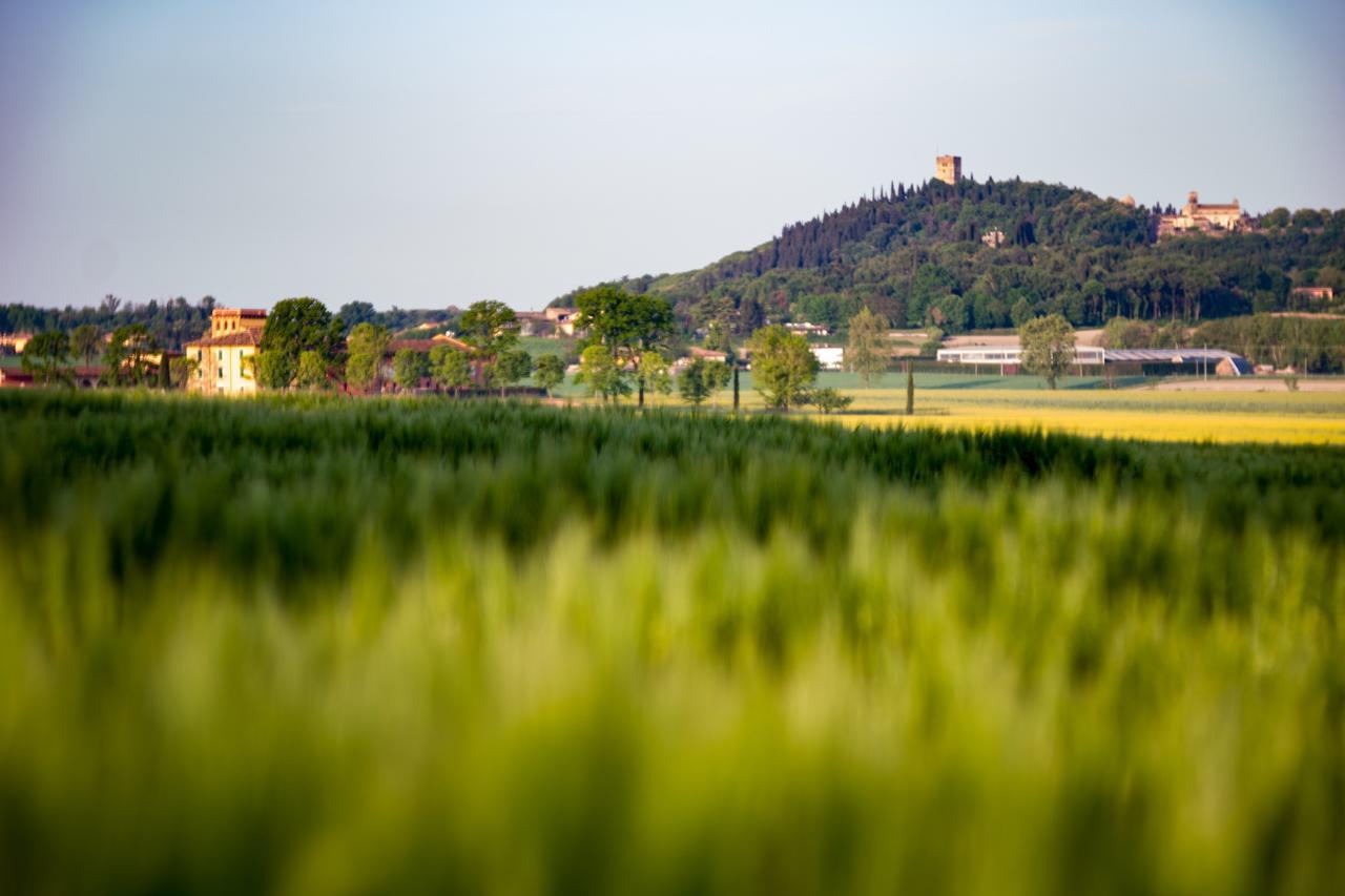 La Valle Dei Vigher Cavriana Экстерьер фото